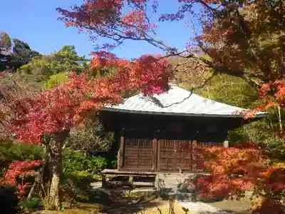 浄光明寺の本殿・本堂