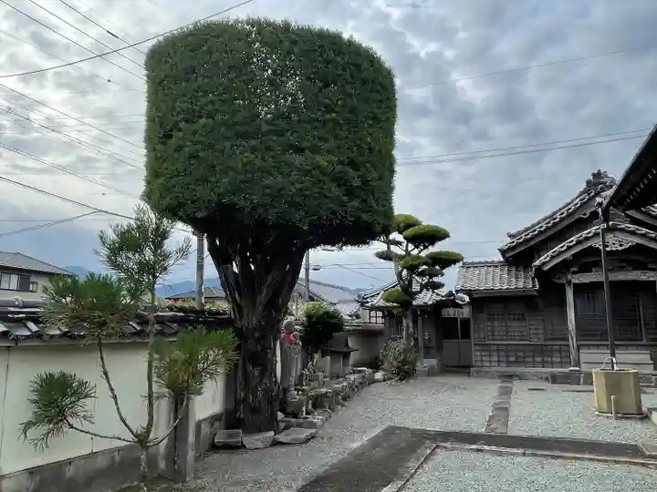 東禅寺(三重県)