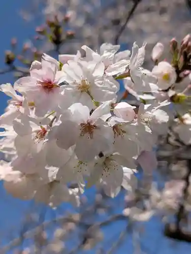 淡島社(神奈川県)