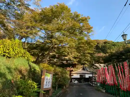 普門寺(切り絵御朱印発祥の寺)(愛知県)