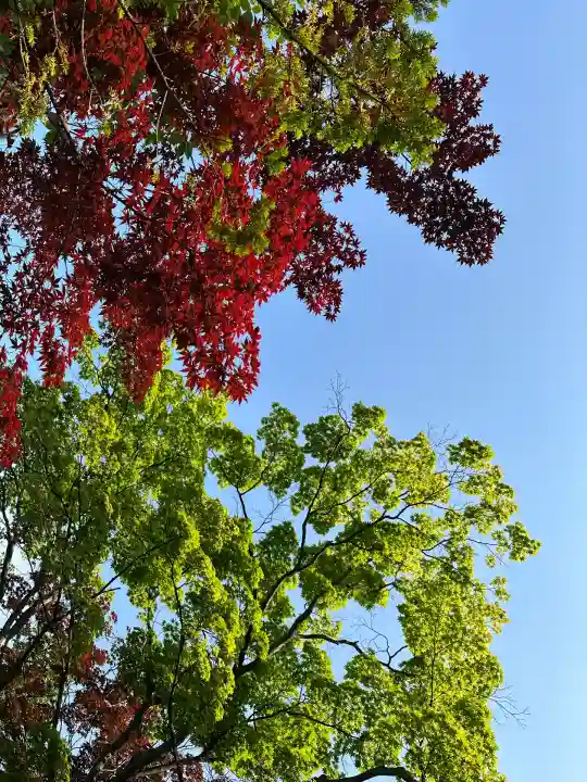 彌彦神社 (伊夜日子神社)の自然