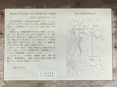 秩父若御子神社(埼玉県)