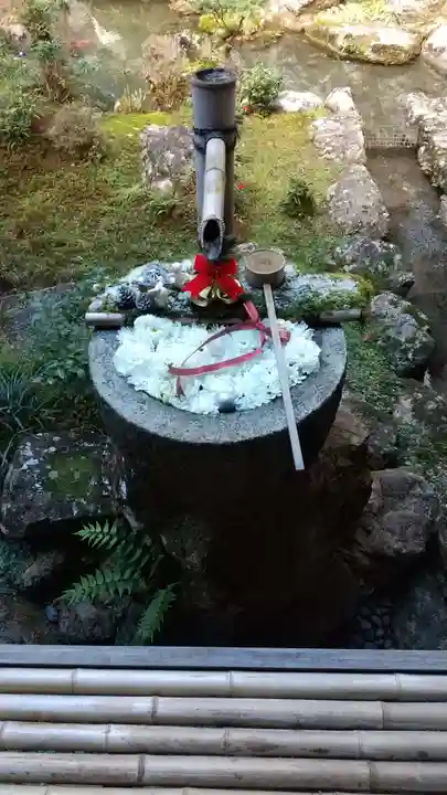 柳谷観音 楊谷寺の手水舎