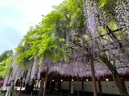 笠間稲荷神社(茨城県)