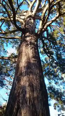 下神明天祖神社(東京都)