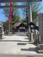 北海道神宮頓宮の鳥居