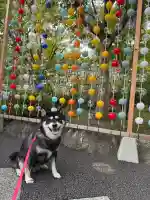 宝徳寺の{uncategorized: "未分類", other: "その他", undefined: "問題あり", building: "その他建物", grave: "お墓", sacred_gate: "鳥居", guardian: "狛犬", statue: "像", buddha: "仏像", history: "歴史", nature: "自然", garden: "庭園", animal: "動物", pagoda: "塔", temizu: "手水舎", mountain_gate: "山門・神門", sanctuary: "本殿・本堂", subordinate: "末社・摂社", art: "芸術", scenery: "景色", jizo: "地蔵", ema: "絵馬", goshuin: "御朱印", omikuji: "おみくじ", items: "授与品その他", amulet: "お守り", goshuincho: "御朱印帳", eats: "食事", festival: "お祭り", votive_dance: "神楽", shichigosan: "七五三参", wedding: "結婚式", experience: "体験その他", initially: "初詣", around: "周辺", anti_infection: "感染症対策"}