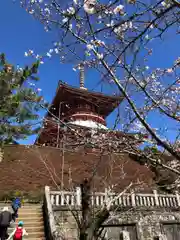 成田山新勝寺(千葉県)