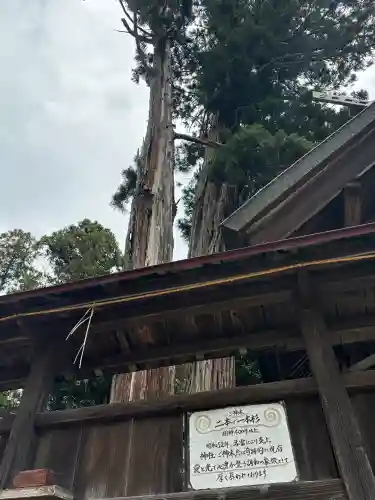 鹿嶋三嶋神社(茨城県)