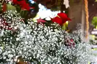 三津厳島神社(愛媛県)