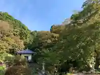 普門寺(切り絵御朱印発祥の寺)(愛知県)