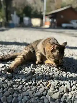 上岩出神社の{uncategorized: "未分類", other: "その他", undefined: "問題あり", building: "その他建物", grave: "お墓", sacred_gate: "鳥居", guardian: "狛犬", statue: "像", buddha: "仏像", history: "歴史", nature: "自然", garden: "庭園", animal: "動物", pagoda: "塔", temizu: "手水舎", mountain_gate: "山門・神門", sanctuary: "本殿・本堂", subordinate: "末社・摂社", art: "芸術", scenery: "景色", jizo: "地蔵", ema: "絵馬", goshuin: "御朱印", omikuji: "おみくじ", items: "授与品その他", amulet: "お守り", goshuincho: "御朱印帳", eats: "食事", festival: "お祭り", votive_dance: "神楽", shichigosan: "七五三参", wedding: "結婚式", experience: "体験その他", initially: "初詣", around: "周辺", anti_infection: "感染症対策"}