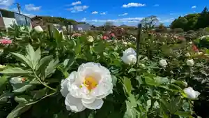 金蛇水神社の自然(2023年04月27日(木) 10時40分32秒投稿)