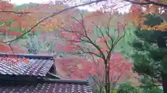 吟松寺の自然