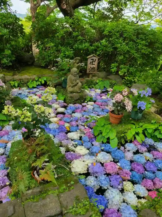長谷寺(神奈川県)