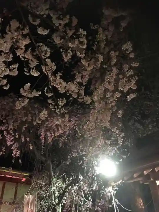 正一位 若草稲荷神社の自然