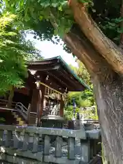 五條天神社の本殿