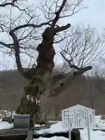 那須温泉神社(栃木県)