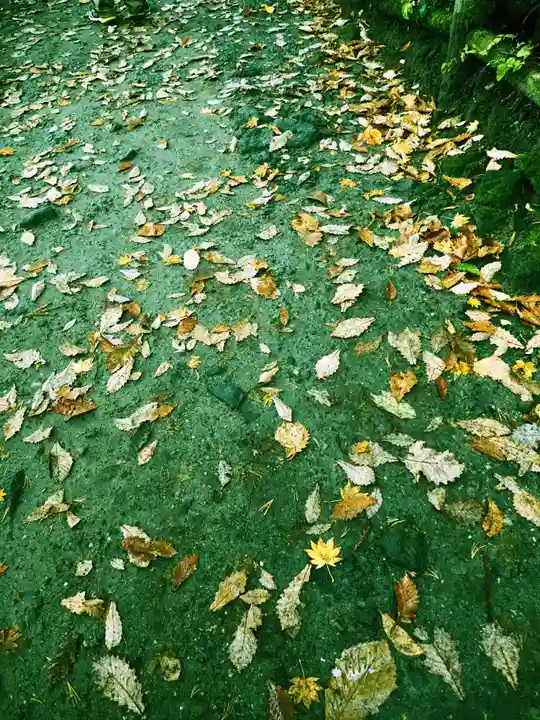 十和田神社の自然