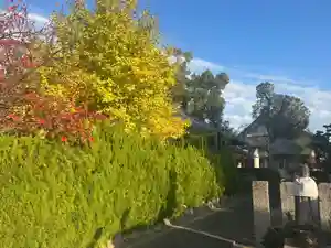 一乗院(和歌山県)(2025年11月17日(月) 21時38分46秒投稿)