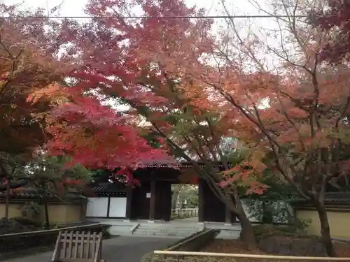 観泉寺の山門