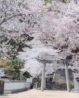 勝岡八幡神社(愛媛県)