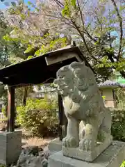 石田神社の狛犬