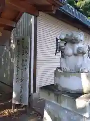 北新羽杉山神社の狛犬