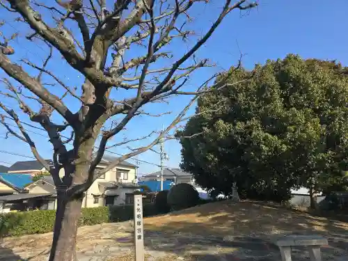 阿彌陀院(大阪府)