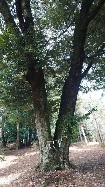近津神社(栃木県)