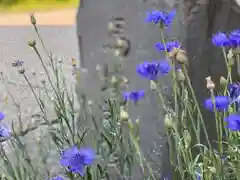 白鳥神社の自然