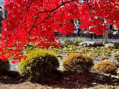 長圓寺(長野県)