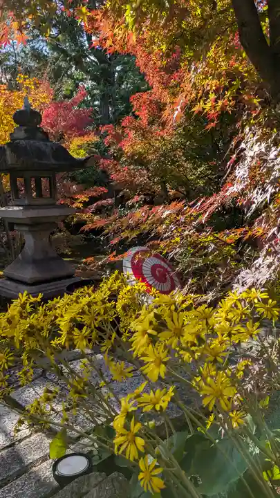 勝林寺(京都府)