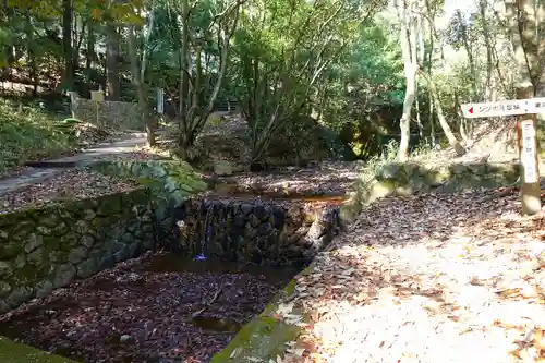 中山寺奥之院の自然