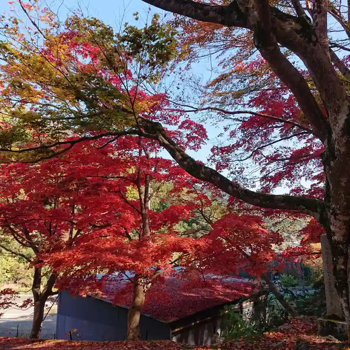 地蔵寺(大阪府)