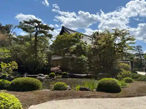 知恩院の{uncategorized: "未分類", other: "その他", undefined: "問題あり", building: "その他建物", grave: "お墓", sacred_gate: "鳥居", guardian: "狛犬", statue: "像", buddha: "仏像", history: "歴史", nature: "自然", garden: "庭園", animal: "動物", pagoda: "塔", temizu: "手水舎", mountain_gate: "山門・神門", sanctuary: "本殿・本堂", subordinate: "末社・摂社", art: "芸術", scenery: "景色", jizo: "地蔵", ema: "絵馬", goshuin: "御朱印", omikuji: "おみくじ", items: "授与品その他", amulet: "お守り", goshuincho: "御朱印帳", eats: "食事", festival: "お祭り", votive_dance: "神楽", shichigosan: "七五三参", wedding: "結婚式", experience: "体験その他", initially: "初詣", around: "周辺", anti_infection: "感染症対策"}