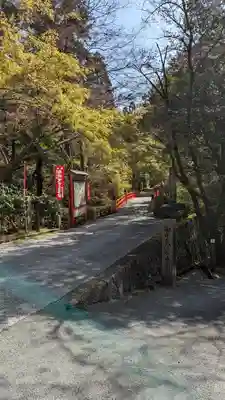 今熊野観音寺(京都府)