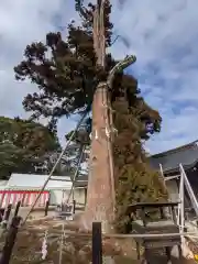 吉備津彦神社(岡山県)