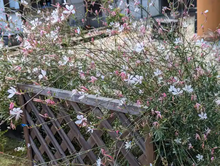 宝菩提院願徳寺(京都府)