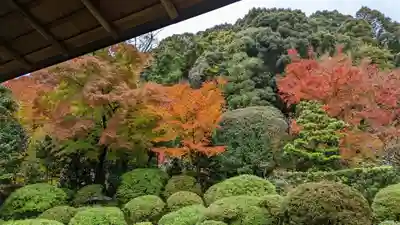 安楽寺(京都府)