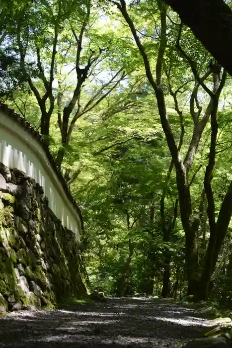 高山寺の建物その他