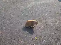 清水寺(福岡県)