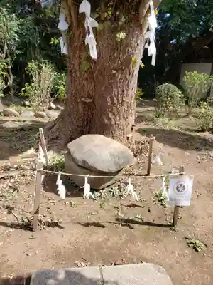 江島神社のその他建物