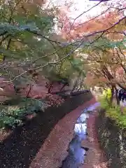 北野天満宮の自然