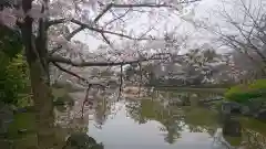 豊國神社の庭園