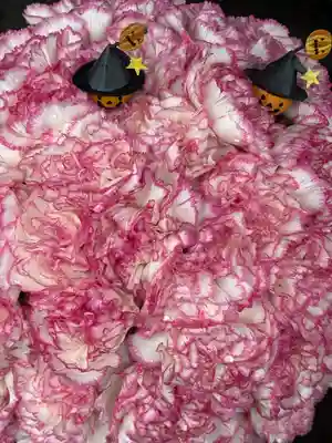 上尾御嶽神社の手水舎