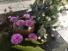 札幌護國神社の手水