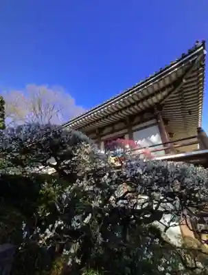 東長谷寺　薬王院(東京都)