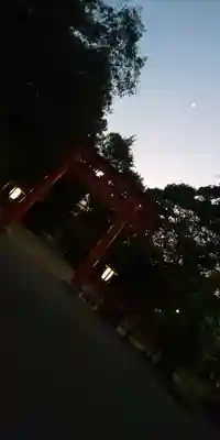 賀茂御祖神社(下鴨神社)の鳥居