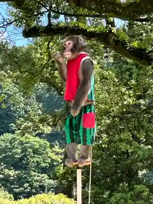 太宰府天満宮の{uncategorized: "未分類", other: "その他", undefined: "問題あり", building: "その他建物", grave: "お墓", sacred_gate: "鳥居", guardian: "狛犬", statue: "像", buddha: "仏像", history: "歴史", nature: "自然", garden: "庭園", animal: "動物", pagoda: "塔", temizu: "手水舎", mountain_gate: "山門・神門", sanctuary: "本殿・本堂", subordinate: "末社・摂社", art: "芸術", scenery: "景色", jizo: "地蔵", ema: "絵馬", goshuin: "御朱印", omikuji: "おみくじ", items: "授与品その他", amulet: "お守り", goshuincho: "御朱印帳", eats: "食事", festival: "お祭り", votive_dance: "神楽", shichigosan: "七五三参", wedding: "結婚式", experience: "体験その他", initially: "初詣", around: "周辺", anti_infection: "感染症対策"}